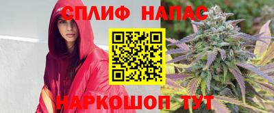 крисы Краснокаменск