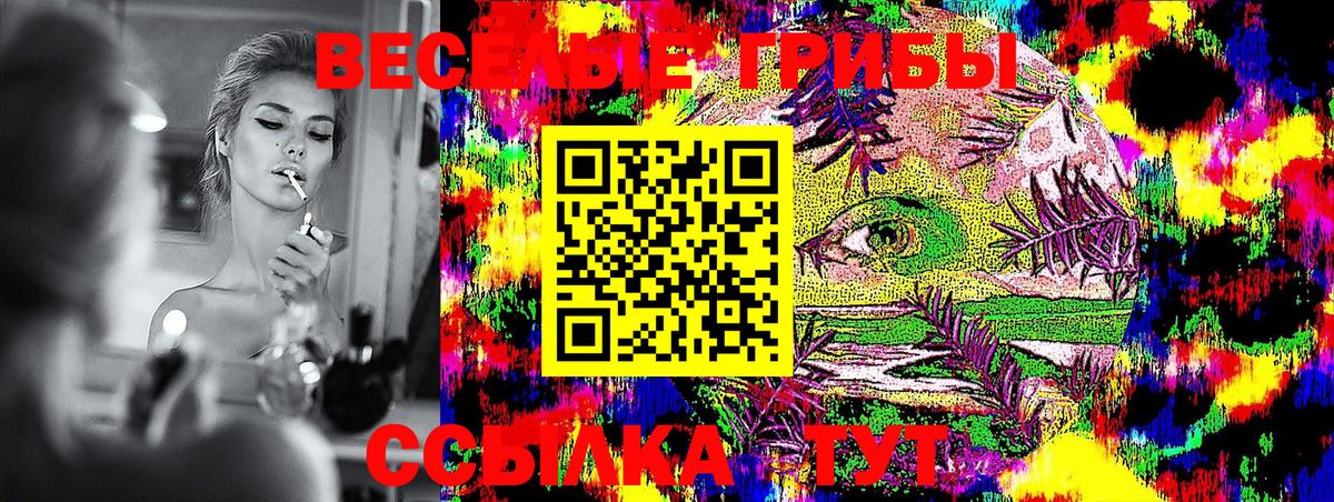Галлюциногенные грибы MAGIC MUSHROOMS  Вход с VPN  Донецк  Псилоцибиновые грибы Magic Shrooms 