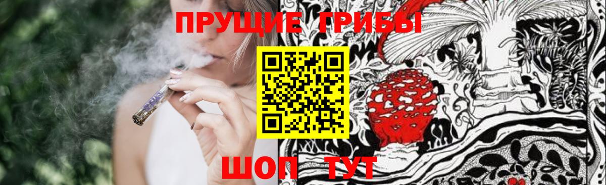 Псилоцибиновые грибы Psilocybe Донецк